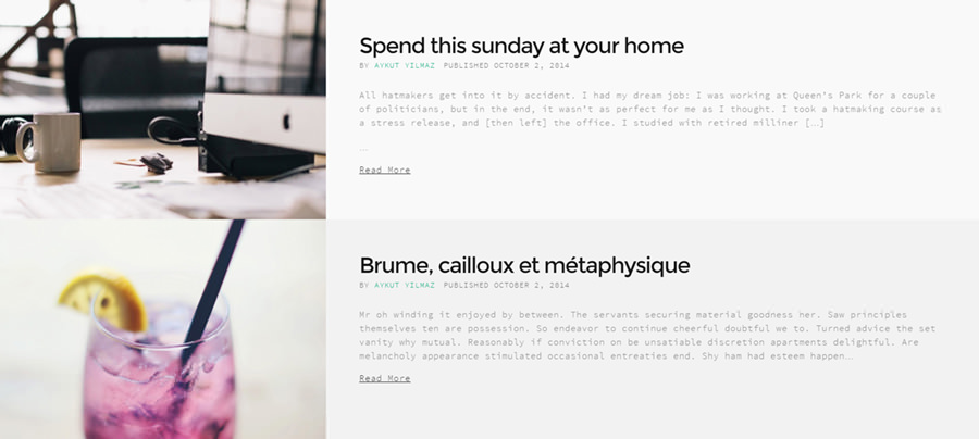 portfolio-themes-blog