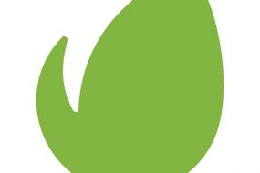 The History of Envato