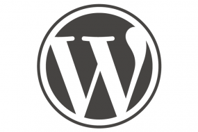 Skeptical About WordPress? Here’s Why You Shouldn’t Be