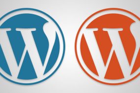 How ThemeForest Authors Can Sell Extra Products and Services