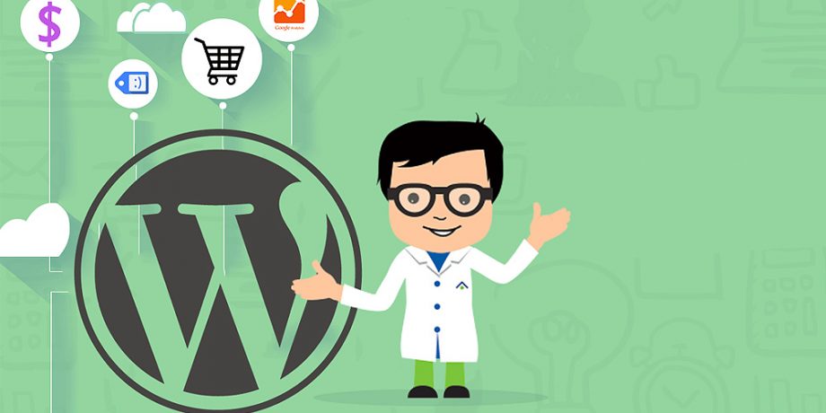 Options for Your Next WordPress E-Commerce Project in 2016