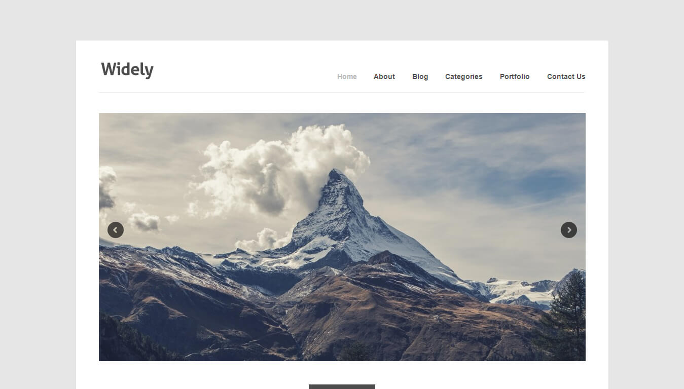 WordPress portfolio themes: Widely