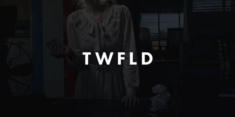 4 Ways to Make Use of “TwoFold”, Our Newest Theme