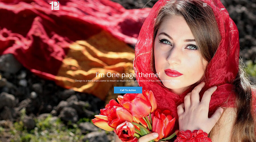 WordPress One Page Themes: One Paze