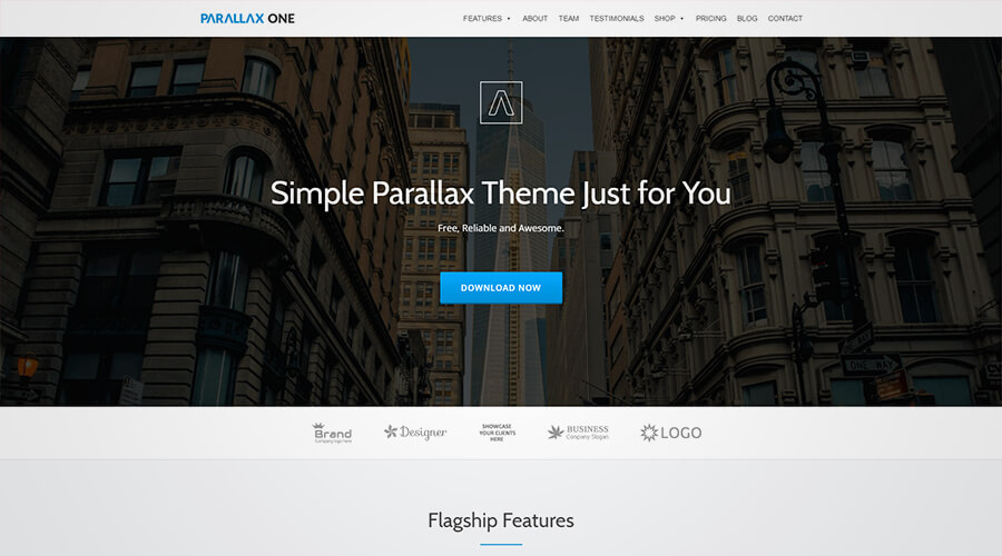 WordPress One Page Themes: Parallax One