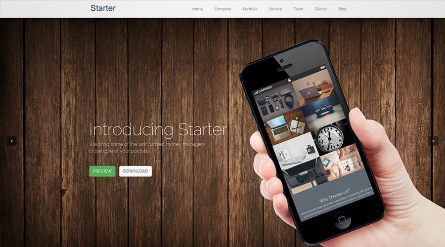 WordPress One Page Themes: Starter