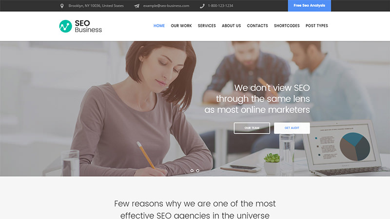 Black Friday Themes: SEO Business