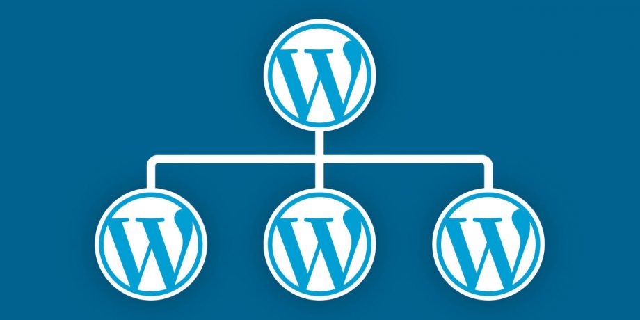 All You Need to Know About WordPress MultiSite