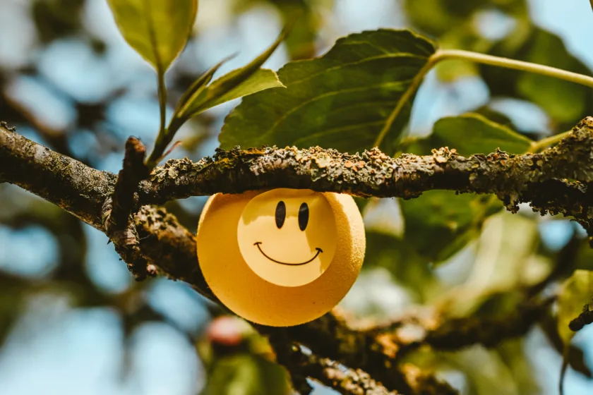 How to Update Your Shopify Theme Without Losing Customizations