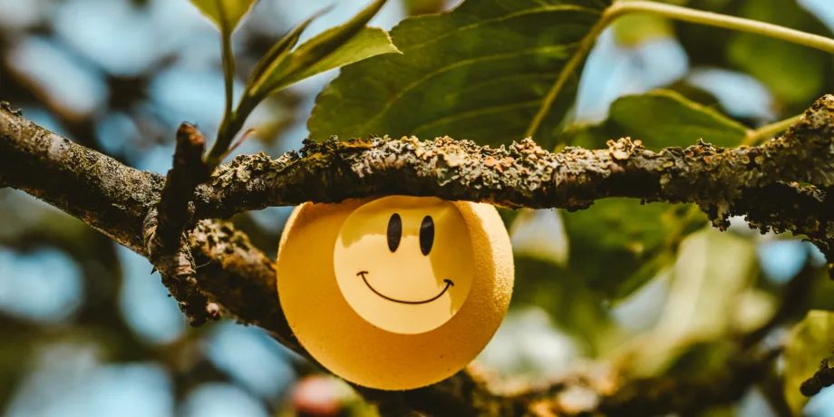 How to Update Your Shopify Theme Without Losing Customizations