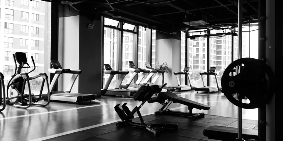 Best Shopify Themes for Sports & Fitness Brands